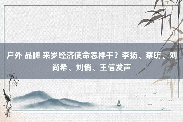 户外 品牌 来岁经济使命怎样干？李扬、蔡昉、刘尚希、刘俏、王信发声