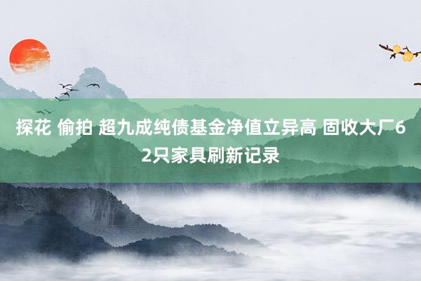 探花 偷拍 超九成纯债基金净值立异高 固收大厂62只家具刷新记录