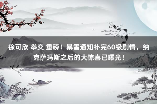 徐可欣 拳交 重磅！暴雪通知补完60级剧情，纳克萨玛斯之后的大惊喜已曝光！