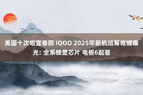 美国十次啦宜春院 iQOO 2025年新机运筹帷幄曝光: 全系独显芯片 电板6起首