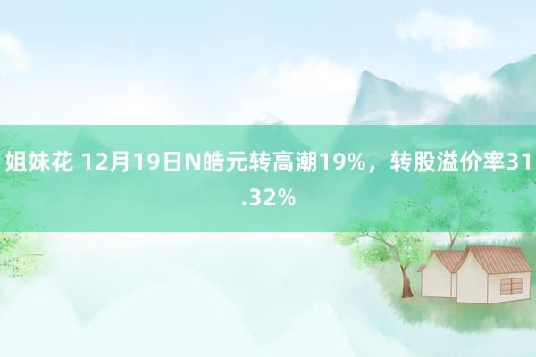 姐妹花 12月19日N皓元转高潮19%，转股溢价率31.32%