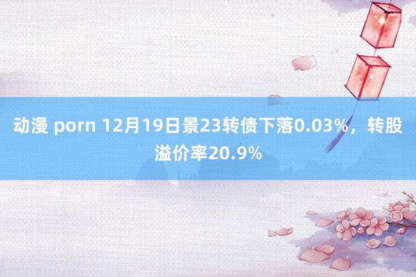 动漫 porn 12月19日景23转债下落0.03%，转股溢价率20.9%