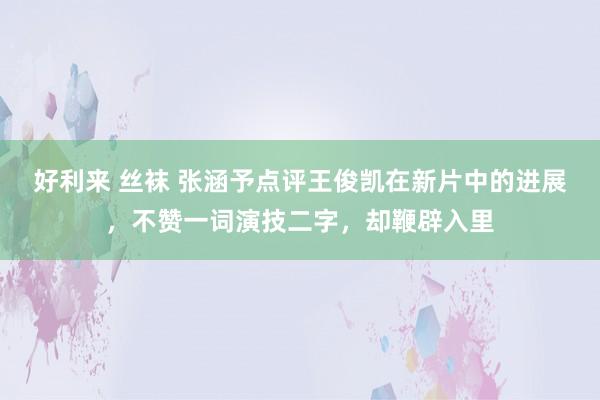 好利来 丝袜 张涵予点评王俊凯在新片中的进展，不赞一词演技二字，却鞭辟入里