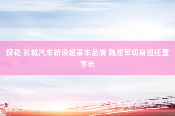 探花 长城汽车新设超豪车品牌 魏建军切身担任董事长