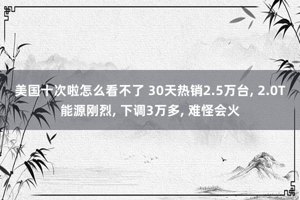 美国十次啦怎么看不了 30天热销2.5万台， 2.0T能源刚烈， 下调3万多， 难怪会火